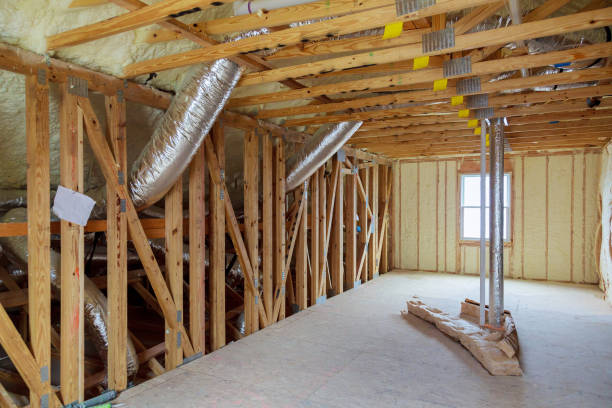 Best Cellulose Insulation in Mustang Ridge, TX