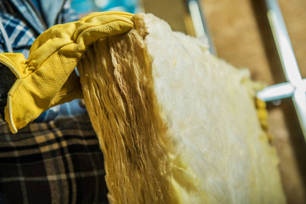 Best Geographic-Specific Insulation Services in Mustang Ridge, TX