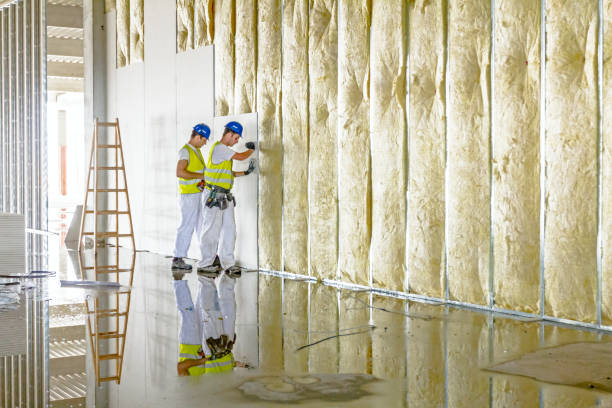 Best Commercial Insulation in Mustang Ridge, TX